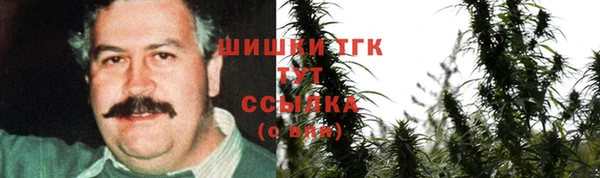 крисы Богородицк