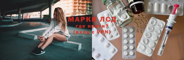 крисы Богородицк