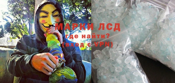 крисы Богородицк