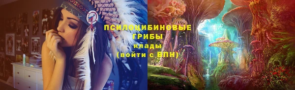 крисы Богородицк