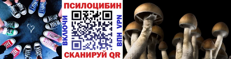 Псилоцибиновые грибы Magic Shrooms  Купить где  Гудермес 